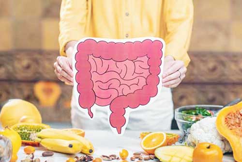  test microbiota GI-MAP+ZONULIN