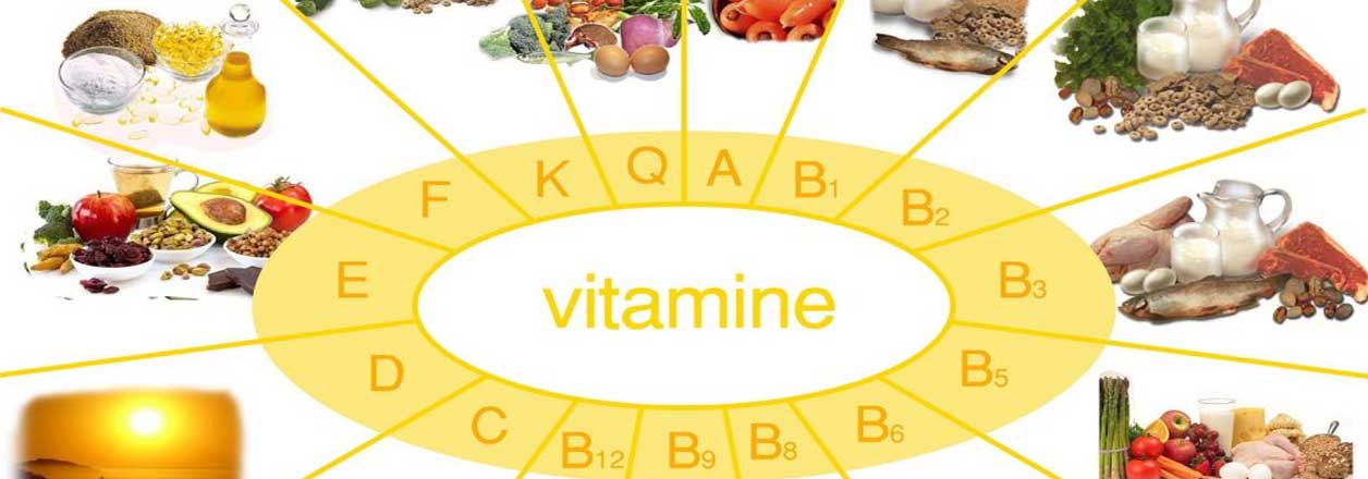 rolul vitaminelor in organism