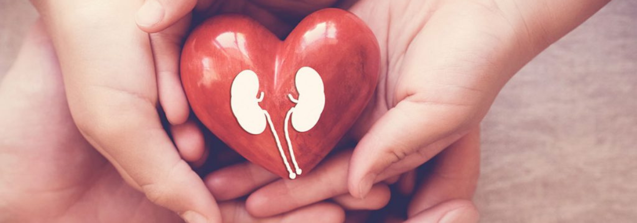 Legătura dintre bolile cardiovasculare și sănătatea rinichilor