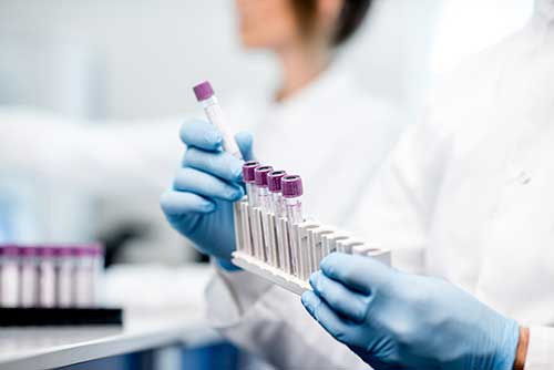 Cellular Nutrition Assay